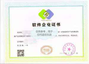 双软评估